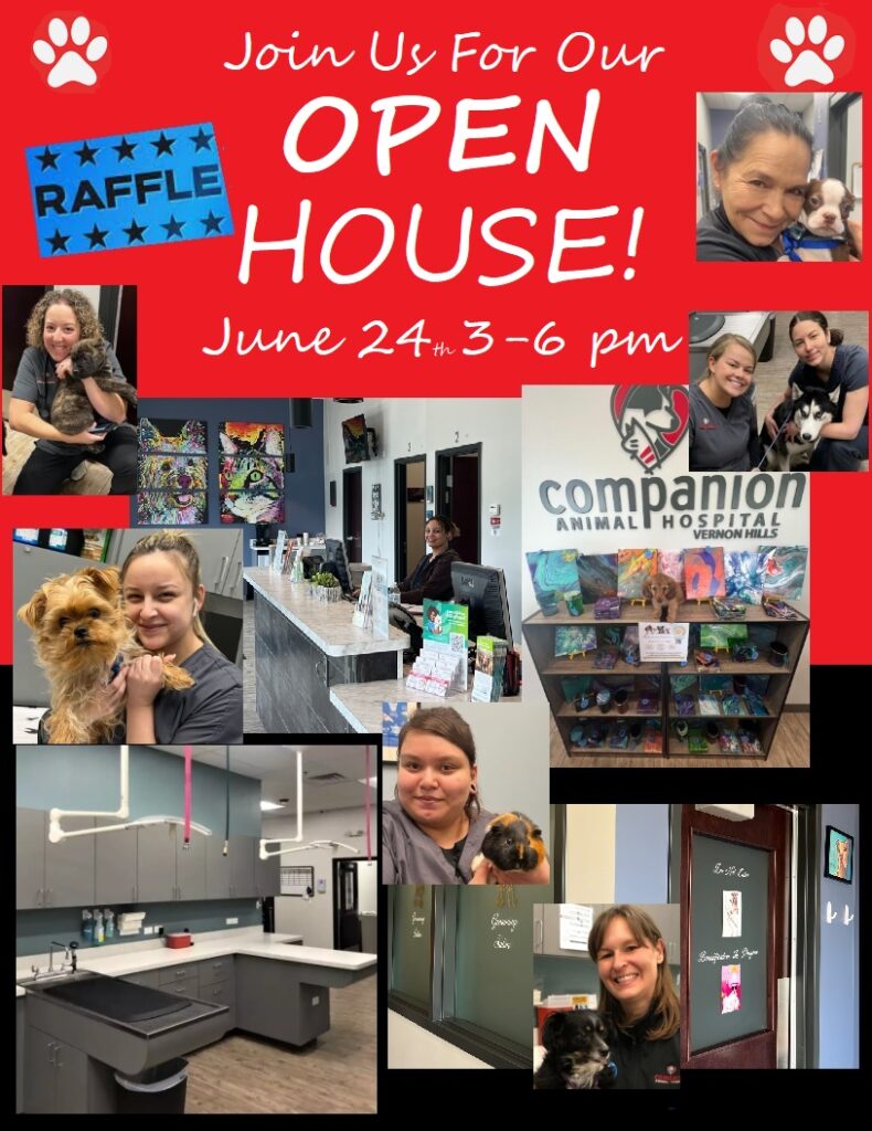 Home Companion Animal Hospital in Vernon Hills, IL