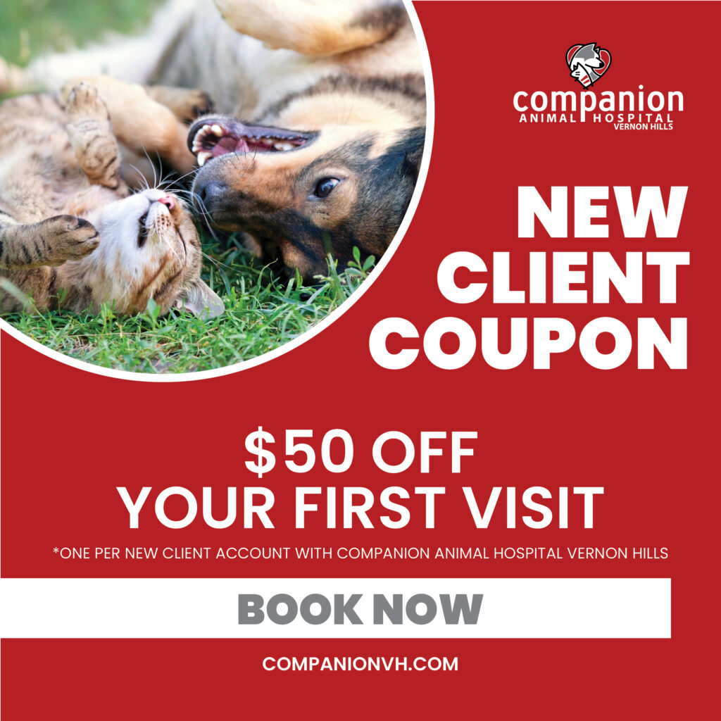 Companion Animal Hospital Vernon Hills-IL028-New Client Coupon (1)